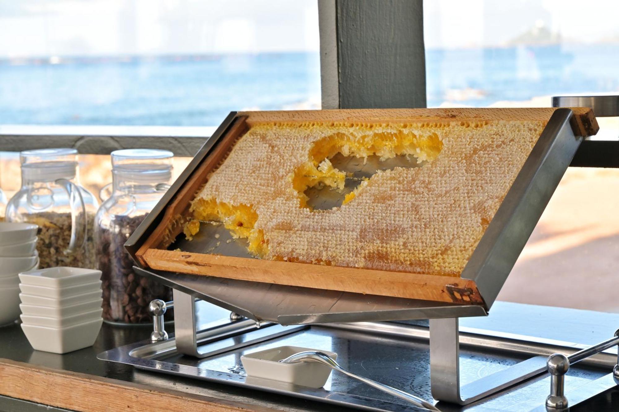 Hotel Restaurant Dolce Vita Αζάτσιο Εξωτερικό φωτογραφία
