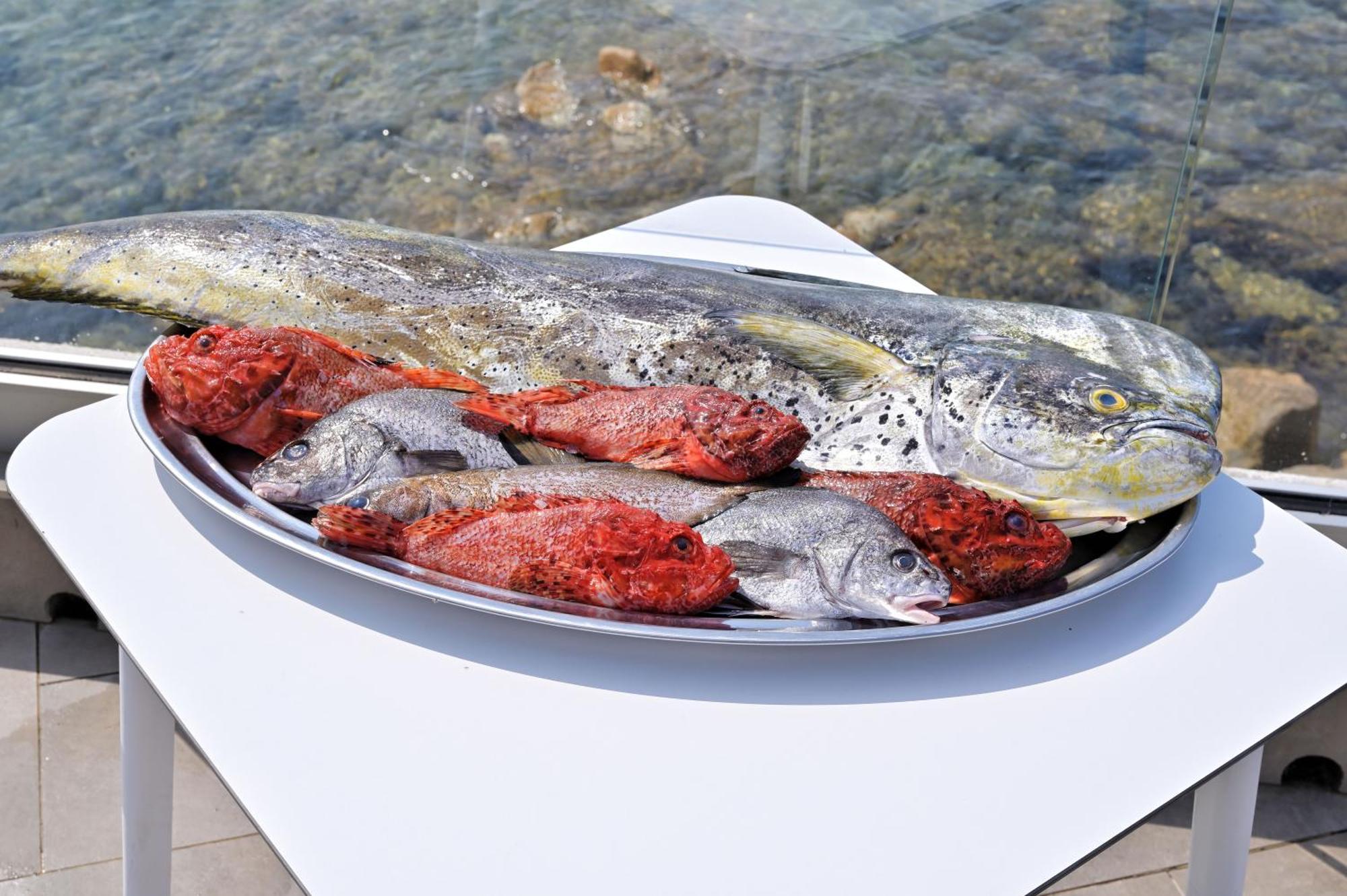 Hotel Restaurant Dolce Vita Αζάτσιο Εξωτερικό φωτογραφία
